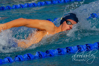 IMG_0029-8