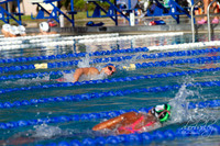 IMG_0005