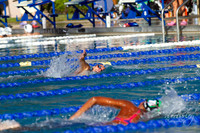 IMG_0006