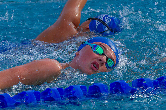 IMG_0002-2-6