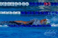 IMG_0018-3