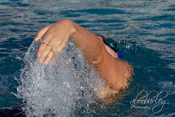 IMG_0001-2-5