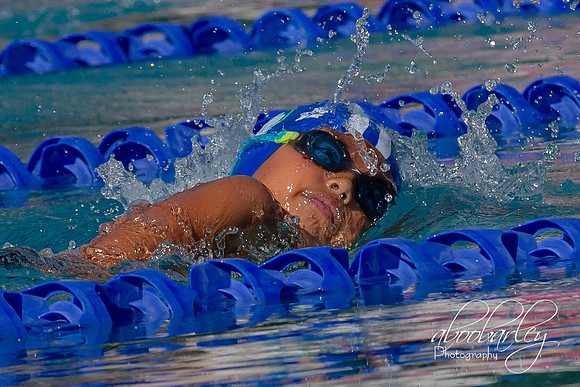 IMG_0291-4