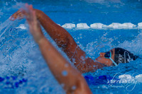 IMG_0017-3