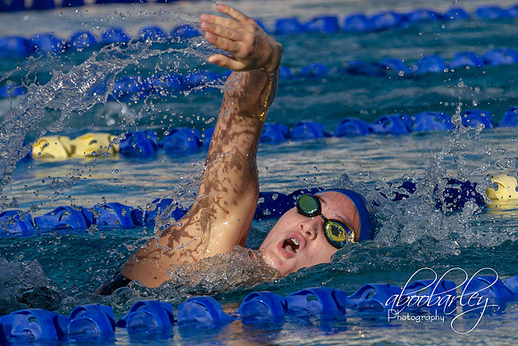 IMG_0010-2-5