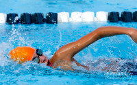 IMG_0003-2