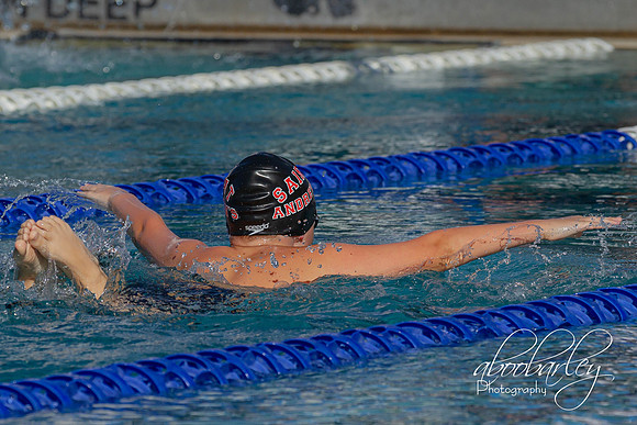 IMG_0194-6