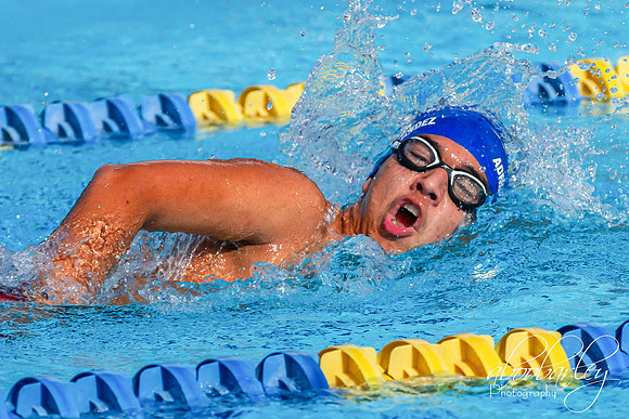 IMG_0092-4-2
